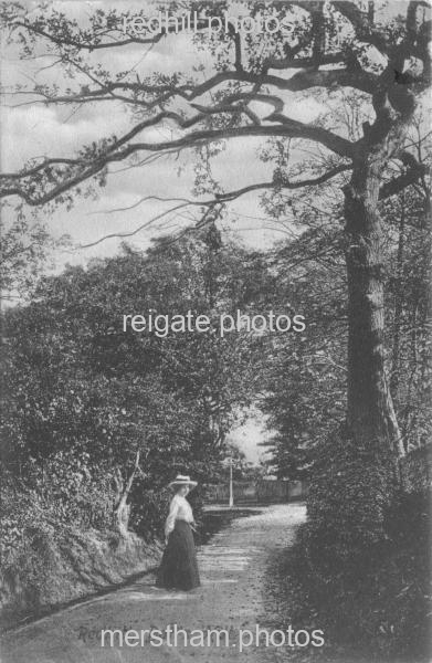 Image number 167&prevurl=battshill