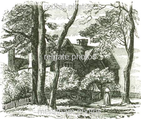 Image number 2454&prevurl=hightreesroad