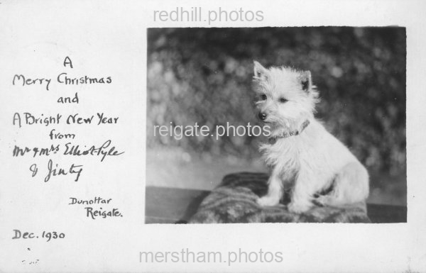 Image number 2460&prevurl=hightreesroad