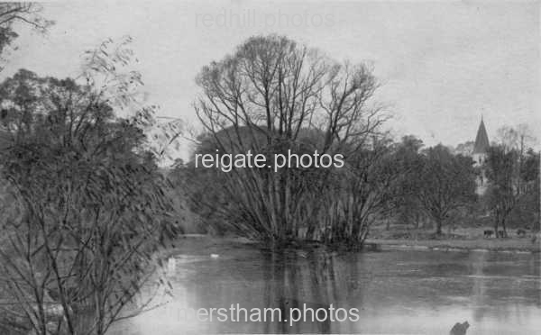 Image number 3048&prevurl=mersthampond