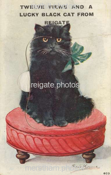 Image number 3262&prevurl=novelties