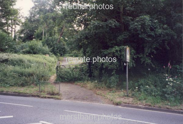 Image number 3490