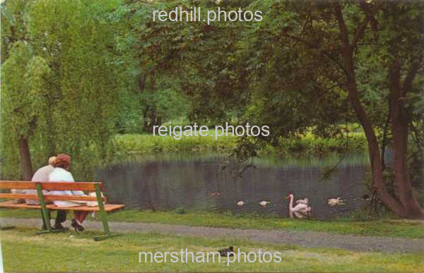 Image number 3499