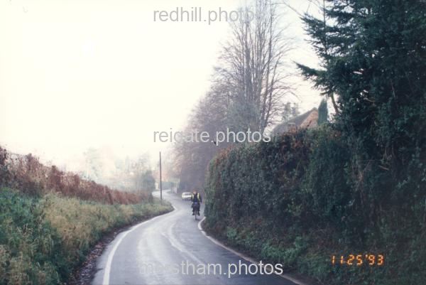 Image number 3530