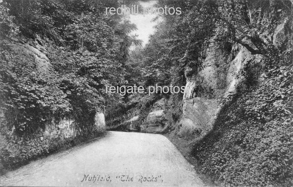 Image number 4974&prevurl=sandylane