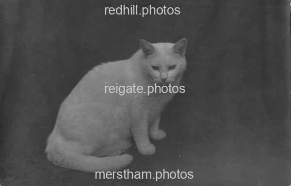 Image number 5523