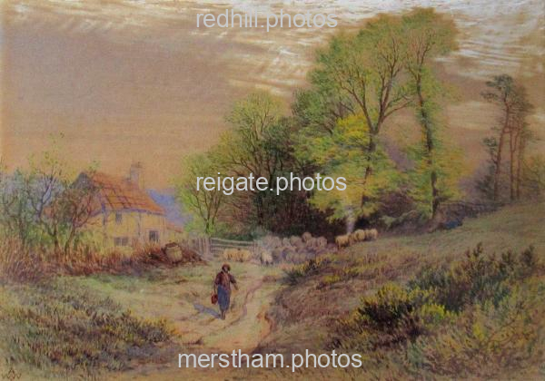 Image number 71&prevurl=alfredwalterwilliams