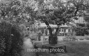 Image number 1978