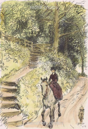 Image number 3557